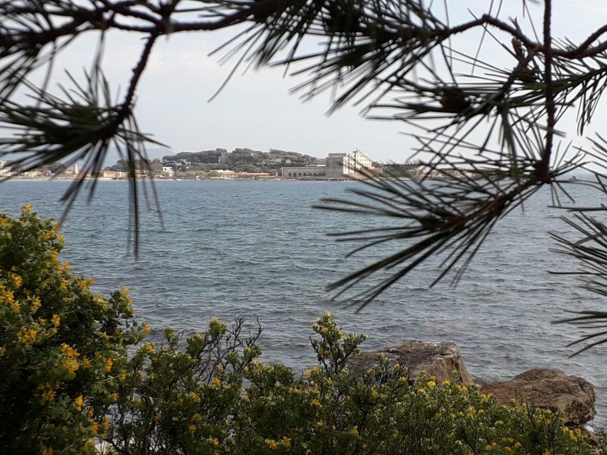 Bandol Nature Et Loisirs: Parking/ Piscine 외부 사진